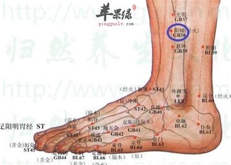 陽輔穴位置 卦的构成要素